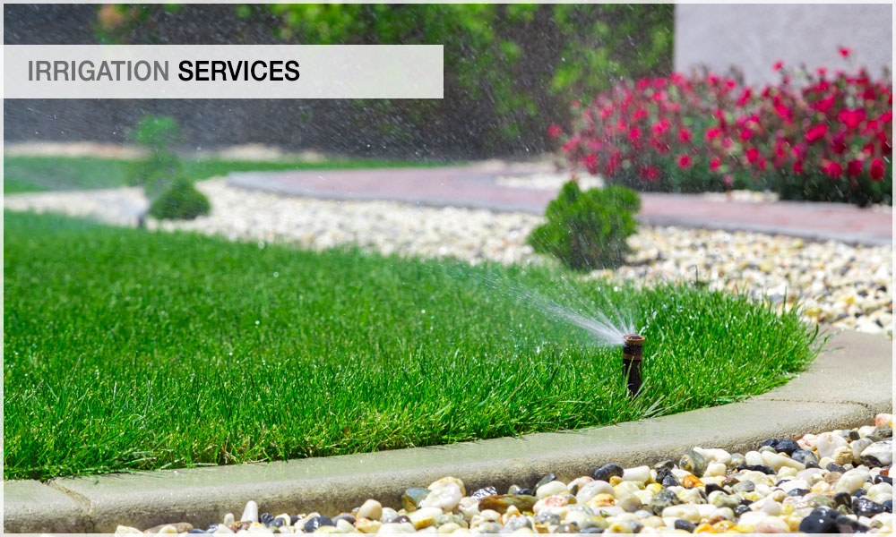 perez-homepage-irrigation-services-hover