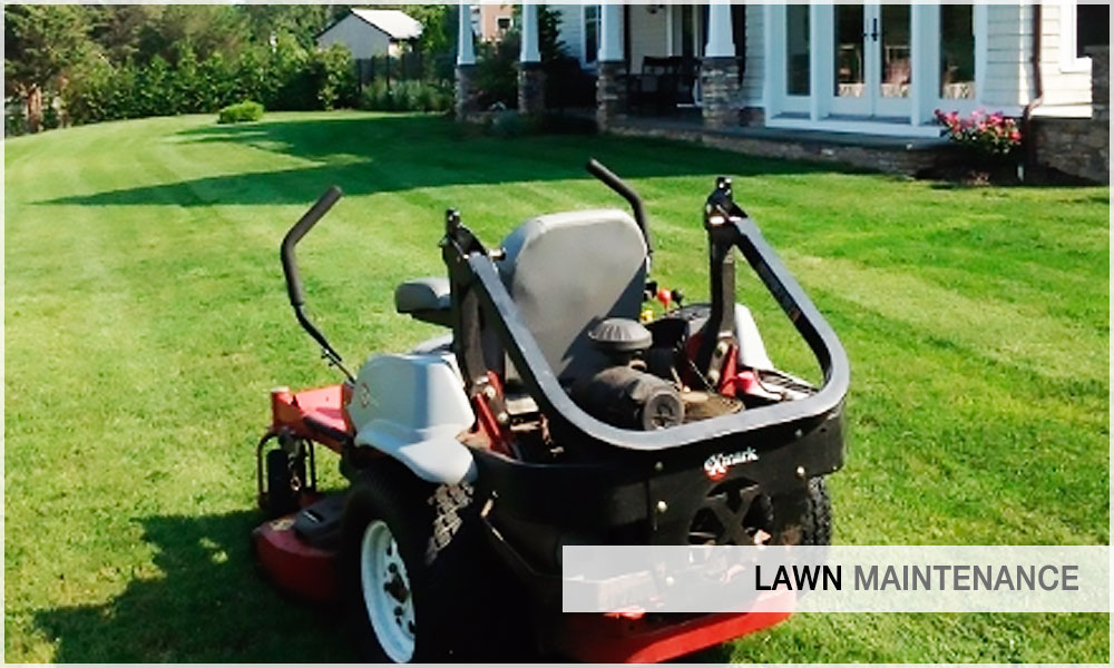 perez-homepage-lawn-maintenance-hover
