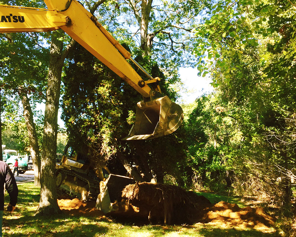 perez-bobcat-003